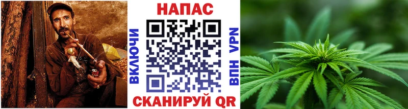ГАШИШ Светлый