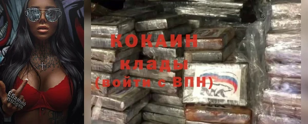 кокс Белокуриха